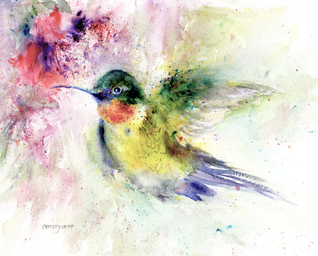 Bright Guy Hummingbird
