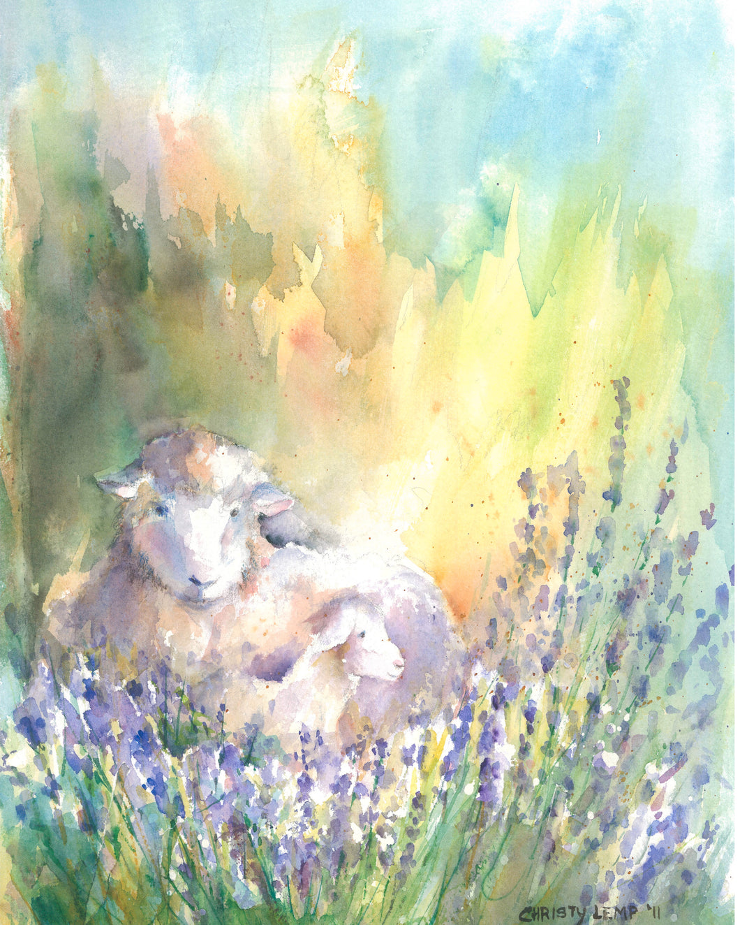 Lambs and Lavender