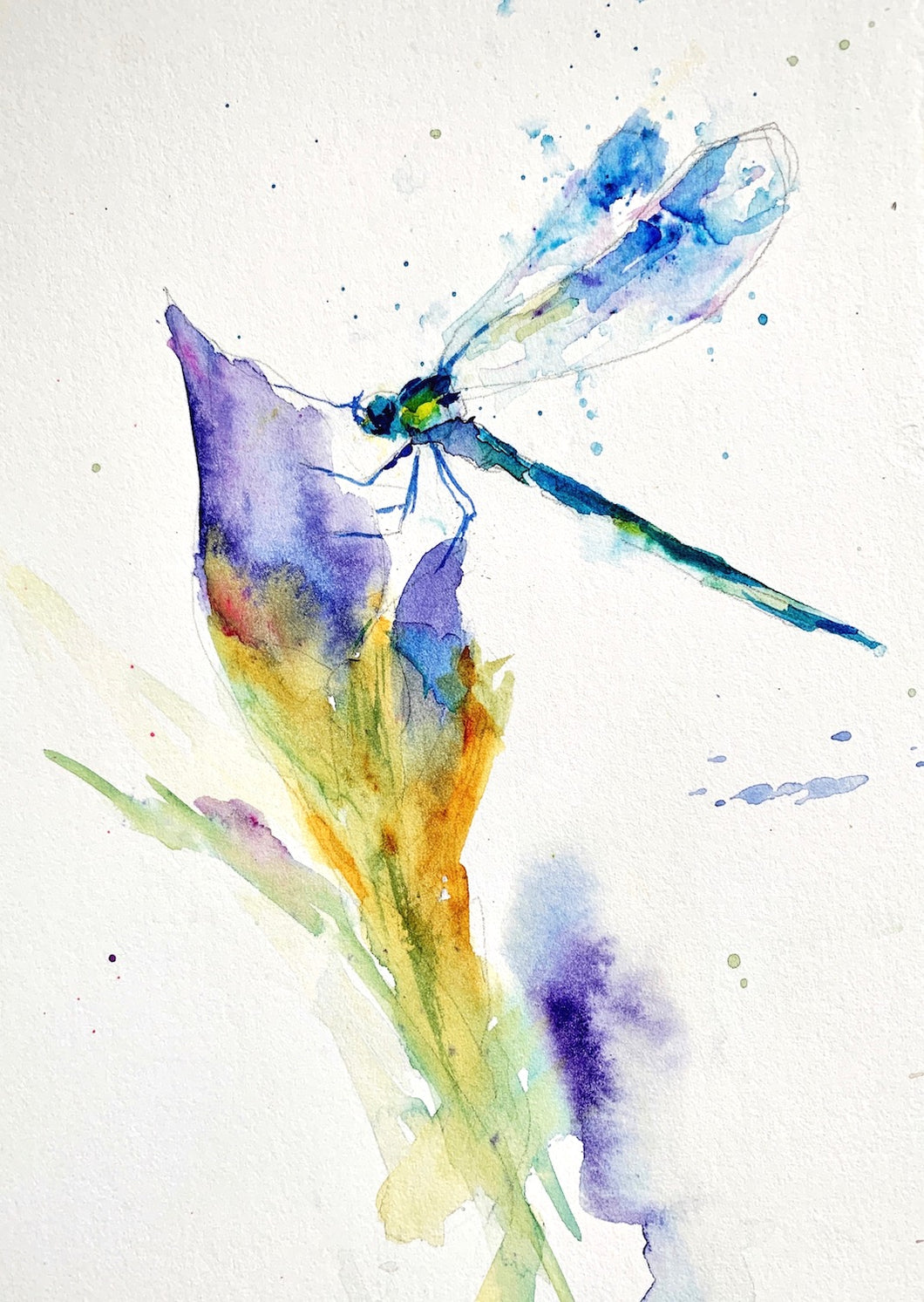 Blue Spirit Dragonfly